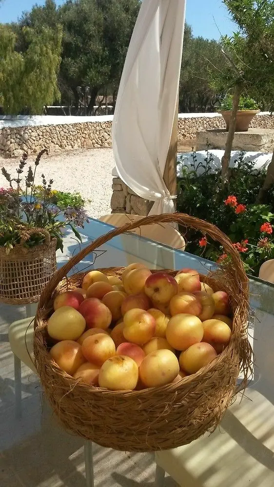 *** 酒店 Agroturismo Biniati Des Pi Biniparrell 西班牙