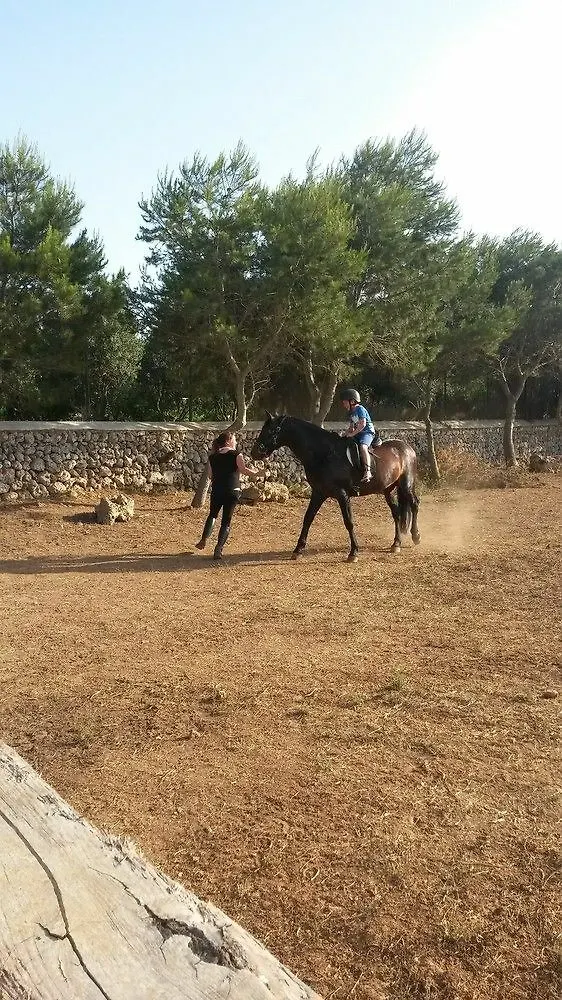 Agroturismo Biniati Des Pi Biniparrell